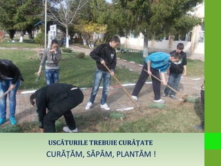 USCĂTURILE TREBUIE CURĂŢATE
CURĂŢĂM, SĂPĂM, PLANTĂM !
 