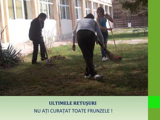 ULTIMELE RETUŞURI
NU AŢI CURAŢAT TOATE FRUNZELE !
 