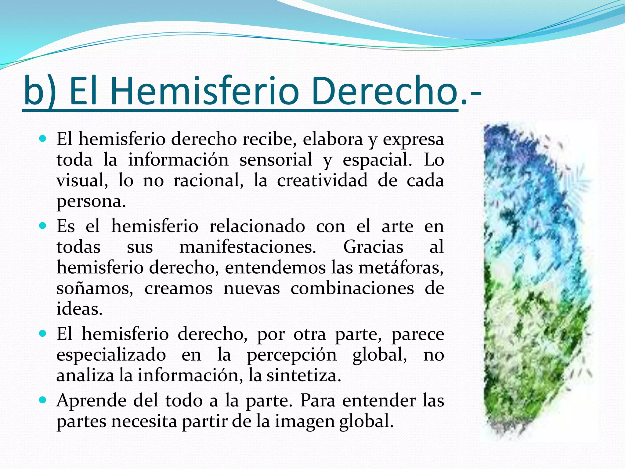 b) El Hemisferio Derecho. El hemisferio derecho recibe, elabora y expresa

toda la información sensorial y espacial. Lo
visual, lo no racional, la creatividad de cada
persona.
 Es el hemisferio relacionado con el arte en
todas sus manifestaciones. Gracias al
hemisferio derecho, entendemos las metáforas,
soñamos, creamos nuevas combinaciones de
ideas.
 El hemisferio derecho, por otra parte, parece
especializado en la percepción global, no
analiza la información, la sintetiza.
 Aprende del todo a la parte. Para entender las
partes necesita partir de la imagen global.

 