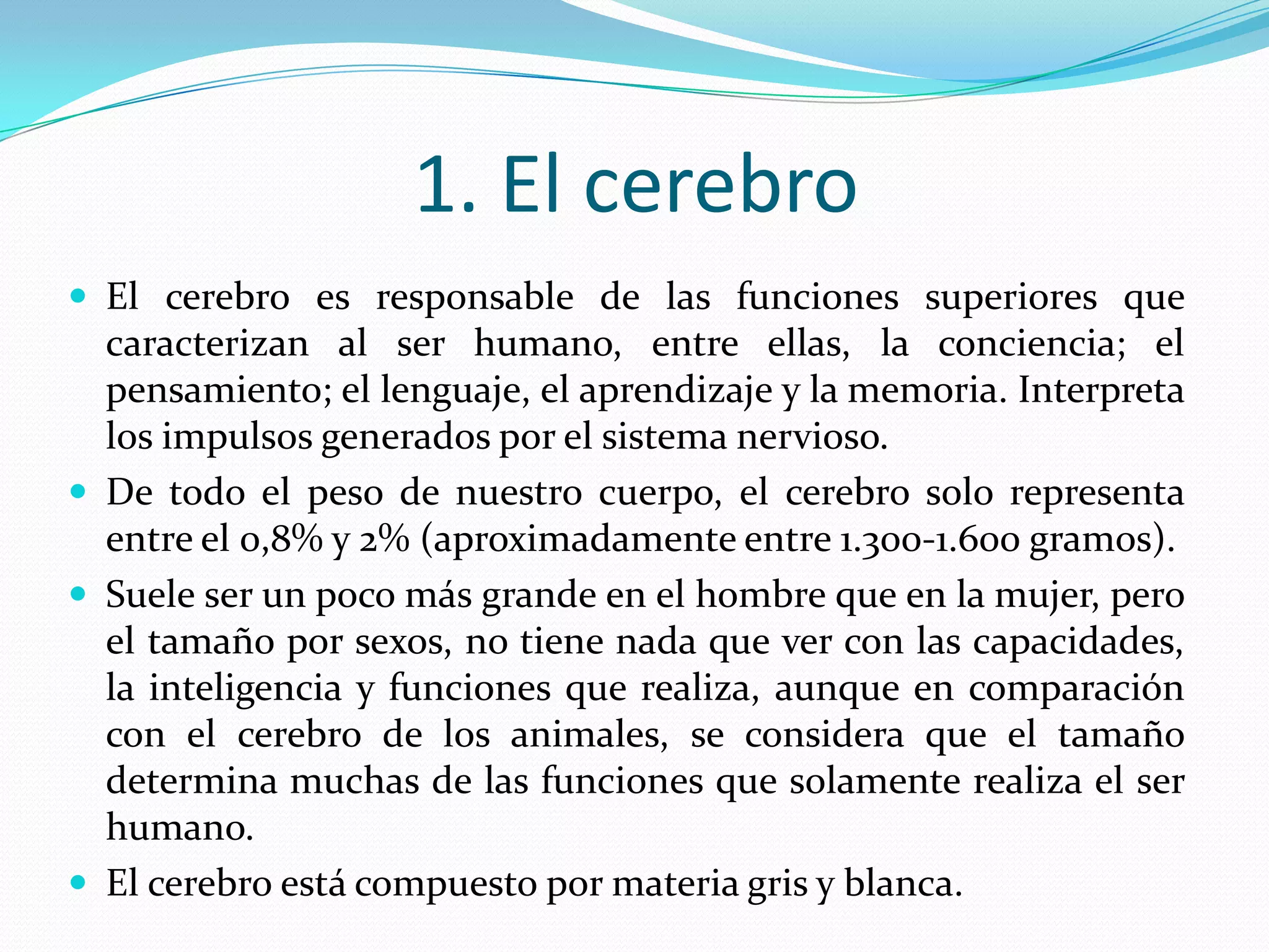 1. El cerebro
 El cerebro es responsable de las funciones superiores que

caracterizan al ser humano, entre ellas, la conciencia; el
pensamiento; el lenguaje, el aprendizaje y la memoria. Interpreta
los impulsos generados por el sistema nervioso.
 De todo el peso de nuestro cuerpo, el cerebro solo representa
entre el 0,8% y 2% (aproximadamente entre 1.300-1.600 gramos).
 Suele ser un poco más grande en el hombre que en la mujer, pero
el tamaño por sexos, no tiene nada que ver con las capacidades,
la inteligencia y funciones que realiza, aunque en comparación
con el cerebro de los animales, se considera que el tamaño
determina muchas de las funciones que solamente realiza el ser
humano.
 El cerebro está compuesto por materia gris y blanca.

 