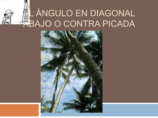 EL ÁNGULO EN DIAGONAL
ABAJO O CONTRA PICADA
 