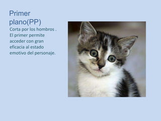 Primer
plano(PP)
Corta por los hombros .
El primer permite
acceder con gran
eficacia al estado
emotivo del personaje.
 