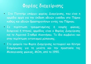 Φορέας διαχείρισης
●
Στο Πατητήρι υπάρχει φορέας Διαχείρισης, που είναι η
αρμόδια αρχή για την έκδοση αδειών εισόδου στο Πάρκο
καθώς και αδειών δραστηριοτήτων εντός του Πάρκου.
●
Σε περίπτωση τραυματισμένης ή νεκρής φώκιας,
δελφινιού ή πτηνού, αρμόδιος είναι ο Φορέας Διαχείρισης
και το Λιμενικό Σταθμό Αλοννήσου. Το ίδιο συμβαίνει και
στην περίπτωση εντοπισμού ρύπανσης.
●
Στο γραφείο του Φορέα Διαχείρισης λειτουργεί και Κέντρο
Ενημέρωσης για τη μελέτη και την προστασία της
Μεσογειακής φώκιας, MΟm, από το 1990.
 