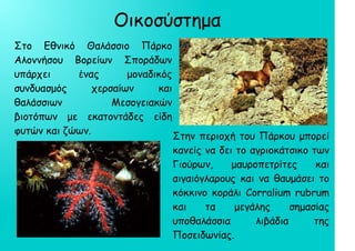 Στο Εθνικό Θαλάσσιο Πάρκο
Αλοννήσου Βορείων Σποράδων
υπάρχει ένας μοναδικός
συνδυασμός χερσαίων και
θαλάσσιων Μεσογειακών
βιοτόπων με εκατοντάδες είδη
φυτών και ζώων.
Οικοσύστημα
Στην περιοχή του Πάρκου μπορεί
κανείς να δει το αγριοκάτσικο των
Γιούρων, μαυροπετρίτες και
αιγαιόγλαρους και να θαυμάσει το
κόκκινο κοράλι Corralium rubrum
και τα μεγάλης σημασίας
υποθαλάσσια λιβάδια της
Ποσειδωνίας.
 