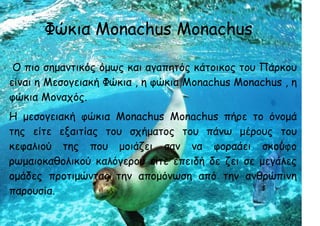 Φώκια Monachus Monachus
Ο πιο σημαντικός όμως και αγαπητός κάτοικος του Πάρκου
είναι η Μεσογειακή Φώκια , η φώκια Monachus Monachus , η
φώκια Μοναχός.
Η μεσογειακή φώκια Monachus Monachus πήρε το όνομά
της είτε εξαιτίας του σχήματος του πάνω μέρους του
κεφαλιού της που μοιάζει σαν να φοραάει σκούφο
ρωμαιοκαθολικού καλόγερου είτε επειδή δε ζει σε μεγάλες
ομάδες προτιμώντας την απομόνωση από την ανθρώπινη
παρουσία.
 