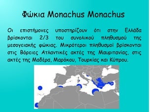 Φώκια Monachus Monachus
Οι επιστήμονες υποστηρίζουν ότι στην Ελλάδα
βρίσκονται 2/3 του συνολικού πληθυσμού της
μεσογειακής φώκιας. Μικρότεροι πληθυσμοί βρίσκονται
στις Βόρειες Ατλαντικές ακτές της Μαυριτανίας, στις
ακτές της Μαδέρα, Μαρόκου, Τουρκίας και Κύπρου.
 