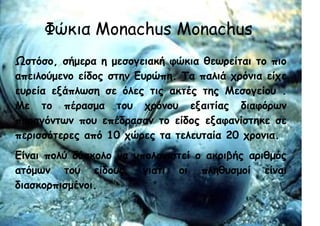 Φώκια Monachus Monachus
Ωστόσο, σήμερα η μεσογειακή φώκια θεωρείται το πιο
απειλούμενο είδος στην Ευρώπη. Τα παλιά χρόνια είχε
ευρεία εξάπλωση σε όλες τις ακτές της Μεσογείου .
Με το πέρασμα του χρόνου εξαιτίας διαφόρων
παραγόντων που επέδρασαν το είδος εξαφανίστηκε σε
περισσότερες από 10 χώρες τα τελευταία 20 χρονια.
Είναι πολύ δύσκολο να υπολογιστεί ο ακριβής αριθμός
ατόμων του είδους, γιατί οι πληθυσμοί είναι
διασκορπισμένοι.
 