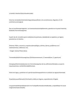La lombriz intestinal (Ascarislumbricoides)



Estos los nematodosintestinalesmásgrandesqueafectan a los sereshumanos, llegando a 15-35
centímetros de longitud.



Que se transfierenporingestión. Los huevoseclosionanrápidamente y penetran en la pared intestinal,
desdeallí al torrentesanguíneo.



A partir de ahí, la lombriz pone rumbohacia los pulmones, desdedonde se expetora y se ingiere,
pararetornar al intestino.



Síntomas: fiebre, cansancio, erupcióncutáneaalérgica, vómitos, diarrea, problemas en el
sistemanervioso, sibilancias / tos.

- Imagen: Science Photo Library



Trematodosplatelmintossanguíneos (Schistosomamansoni, S. haematobium, S. japonicum)



Estospequeñostrematodosviven en el torrentesanguíneo de los anfitrionesinfectados y causan la
esquistosomiasis, tambiénllamadabilharziasis.



Viven en el agua, y penetran en la piel de lasvíctimasqueentran en contacto con aguacontaminada.



El parásitocausainflamación (hinchazón) y daños en órganos, especialmente el hígado.



Los gusanosadultospuedenpersistir en el huéspedhumanodurantedécadas, y esposibleque no cause
ningúnsíntomaduranteaños.
 