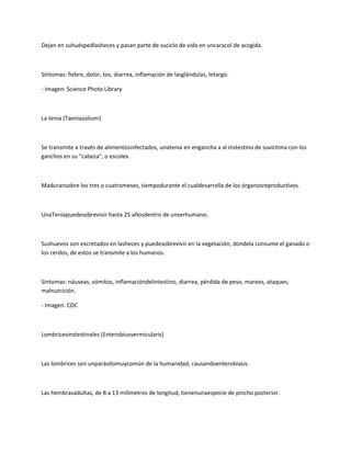 Dejan en suhuéspedlasheces y pasan parte de suciclo de vida en uncaracol de acogida.



Síntomas: fiebre, dolor, tos, diarrea, inflamación de lasglándulas, letargo.

- Imagen: Science Photo Library



La tenia (Taeniasolium)



Se transmite a través de alimentosinfectados, unatenia en engancha a al instestino de suvíctima con los
ganchos en su "cabeza", o escolex.



Maduransobre los tres o cuatromeses, tiempodurante el cualdesarrolla de los órganosreproductivos.



UnaTeniapuedesobrevivir hasta 25 añosdentro de unserhumano.



Sushuevos son excretados en lasheces y puedesobrevivir en la vegetación, dondela consume el ganado o
los cerdos, de estos se transmite a los humanos.



Síntomas: náuseas, vómitos, inflamacióndelintestino, diarrea, pérdida de peso, mareos, ataques,
malnutrición.

- Imagen: CDC



Lombricesinstestinales (Enterobiusvermicularis)



Las lombrices son unparásitomuycomún de la humanidad, causandoenterobiasis.



Las hembrasadultas, de 8 a 13 milímetros de longitud, tienenunaespecie de pincho posterior.
 