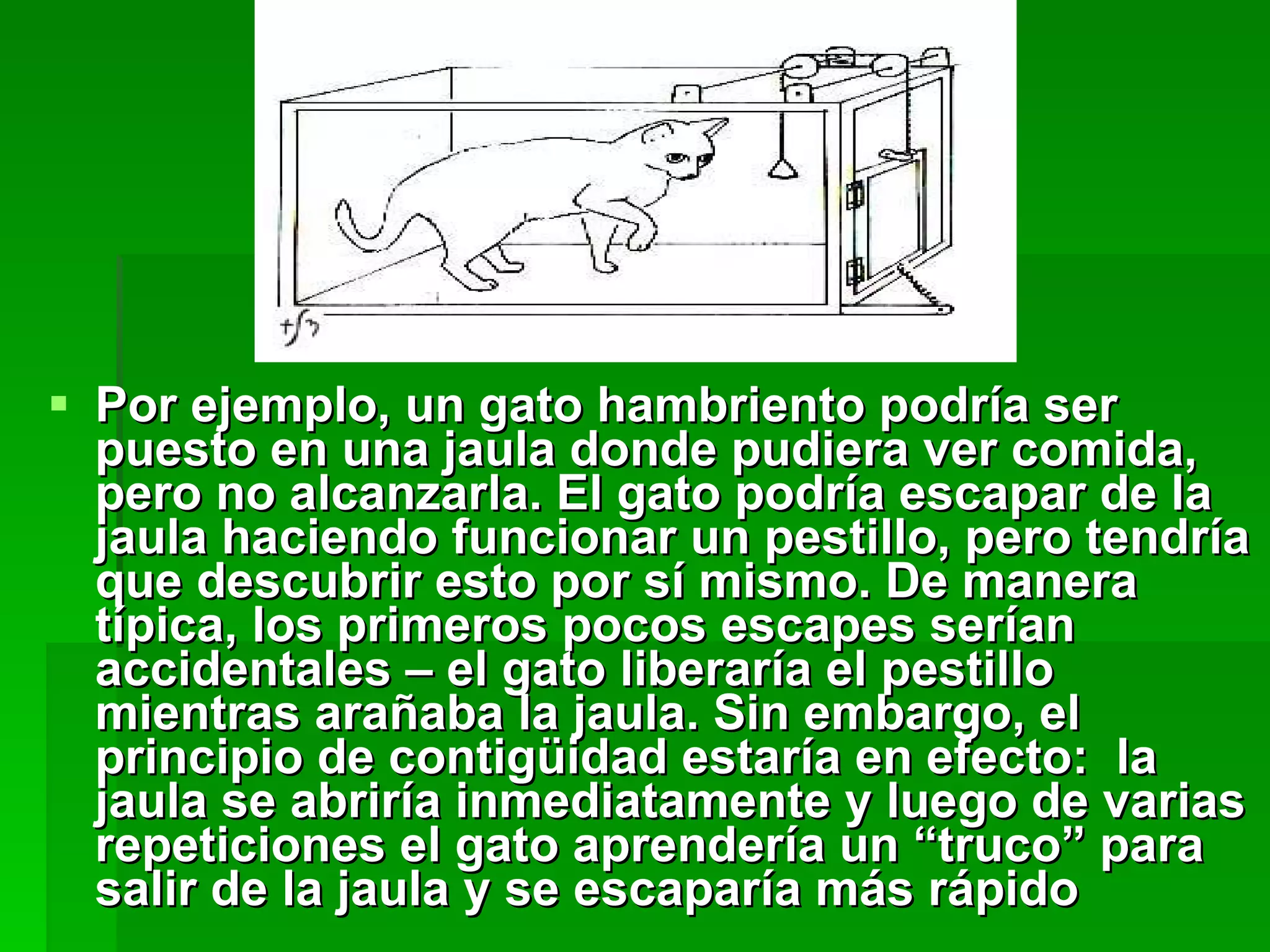 Por ejemplo, un gato hambriento podría ser puesto en una jaula donde pudiera ver comida, pero no alcanzarla. El gato podría escapar de la jaula haciendo funcionar un pestillo, pero tendría que descubrir esto por sí mismo. De manera típica, los primeros pocos escapes serían accidentales – el gato liberaría el pestillo mientras arañaba la jaula. Sin embargo, el principio de contigüidad estaría en efecto:  la jaula se abriría inmediatamente y luego de varias repeticiones el gato aprendería un “truco” para salir de la jaula y se escaparía más rápido 