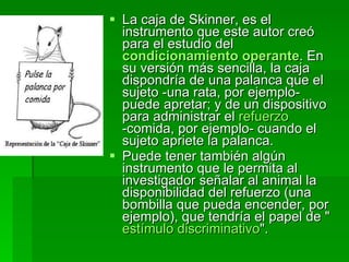 La caja de Skinner, es el instrumento que este autor creó para el estudio del   condicionamiento operante . En su versión más sencilla, la caja dispondría de una palanca que el sujeto -una rata, por ejemplo- puede apretar; y de un dispositivo para administrar el  refuerzo  -comida, por ejemplo- cuando el sujeto apriete la palanca.  Puede tener también algún instrumento que le permita al investigador señalar al animal la disponibilidad del refuerzo (una bombilla que pueda encender, por ejemplo), que tendría el papel de " estímulo discriminativo ".  