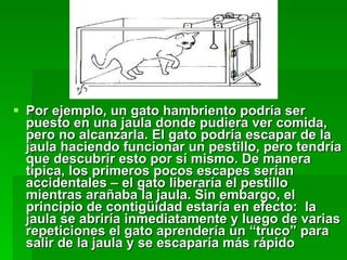Por ejemplo, un gato hambriento podría ser puesto en una jaula donde pudiera ver comida, pero no alcanzarla. El gato podría escapar de la jaula haciendo funcionar un pestillo, pero tendría que descubrir esto por sí mismo. De manera típica, los primeros pocos escapes serían accidentales – el gato liberaría el pestillo mientras arañaba la jaula. Sin embargo, el principio de contigüidad estaría en efecto:  la jaula se abriría inmediatamente y luego de varias repeticiones el gato aprendería un “truco” para salir de la jaula y se escaparía más rápido 