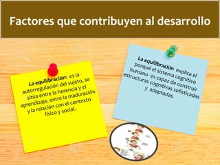 Factores	
  que	
  contribuyen	
  al	
  desarrollo	
  
La	
  equilibración:	
  	
  es	
  la	
  
	
  autorregulación	
  del	
  sujeto,	
  se	
  
sitúa	
  entre	
  la	
  herencia	
  y	
  el	
  
aprendizaje,	
  entre	
  la	
  maduración	
  
y	
  la	
  relación	
  con	
  el	
  contexto	
  
físico	
  y	
  social.	
  
	
  	
  
La	
  equilibración	
  	
  explica	
  el	
  
porqué	
  el	
  sistema	
  cognitivo	
  	
  	
  
humano	
  	
  es	
  capaz	
  de	
  construir	
  	
  
estructuras	
  cognitivas	
  soﬁsticadas	
  
y	
  	
  adaptadas.	
  	
  	
  	
  	
  	
  	
  	
  
 