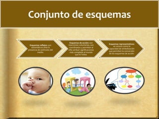 Conjunto	
  de	
  esquemas	
  
Esquemas	
  reﬂejos:	
  son	
  
automáticos	
  ante	
  la	
  
presencia	
  de	
  estímulos	
  del	
  
medio.	
  	
  
Esquemas	
  de	
  acción:	
  son	
  
reacciones	
  voluntarias,	
  son	
  
coordinados	
  y	
  permiten	
  al	
  
niño	
  atribuir	
  signiﬁcaciones	
  
más	
  complejas	
  al	
  mundo	
  
que	
  le	
  rodea.	
  
Esquemas	
  representativos:	
  	
  
se	
  conoce	
  como	
  la	
  
capacidad	
  de	
  simbolización	
  
que	
  permiten	
  la	
  conversión	
  
de	
  los	
  esquemas	
  de	
  acción.	
  	
  
 