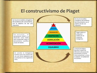 El	
  constructivismo	
  de	
  Piaget	
  
Se	
  recurre	
  al	
  análisis	
  ontogénico	
  
del	
  problema	
  del	
  conocimiento,	
  
con	
   el	
   objetivo	
   de	
   dar	
   una	
  
respuesta	
  
Se	
  recurre	
  al	
  análisis	
  
ontogénico	
  del	
  problema	
  
del	
  conocimiento,	
  con	
  el	
  
objetivo	
  de	
  dar	
  una	
  
respuesta.	
  
S e 	
   e s t u d i a 	
   	
   e l	
  
pensamiento	
   infantil	
   y	
   su	
  
desarrollo	
   como	
   medio	
  
para	
  comprender	
  mejor	
  el	
  
pensamiento	
   cientíﬁco	
  	
  
propio	
  del	
  adulto.	
  
	
  
Piaget	
  realiza	
  un	
  
exhaustivo	
  	
  
análisis	
  de	
  	
  las	
  
conductas	
  
inteligentes.	
  
	
  
Se	
   concibe	
   la	
   inteligencia	
  
humana	
  como	
  una	
  construcción	
  
con	
   una	
   forma	
   adaptativa	
   que	
  
se	
  presentan	
  en	
  los	
  organismos	
  
vivos.	
  
	
  
La	
  teoría	
  psicológica	
  
describe	
  y	
  explica	
  las	
  
diferentes	
  estructuras	
  de	
  
pensamiento,	
  la	
  forma	
  
como	
  evolucionan	
  	
  y	
  como	
  
se	
  adaptan	
  	
  al	
  realidad	
  del	
  
ser	
  humano.	
  
	
  
 