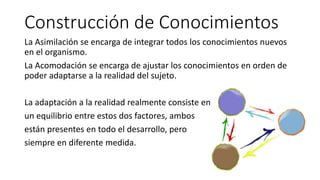 Construcción de Conocimientos
La Asimilación se encarga de integrar todos los conocimientos nuevos
en el organismo.
La Acomodación se encarga de ajustar los conocimientos en orden de
poder adaptarse a la realidad del sujeto.
La adaptación a la realidad realmente consiste en
un equilibrio entre estos dos factores, ambos
están presentes en todo el desarrollo, pero
siempre en diferente medida.
 