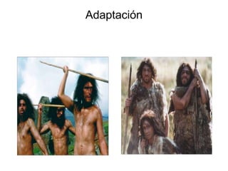 Adaptación

 