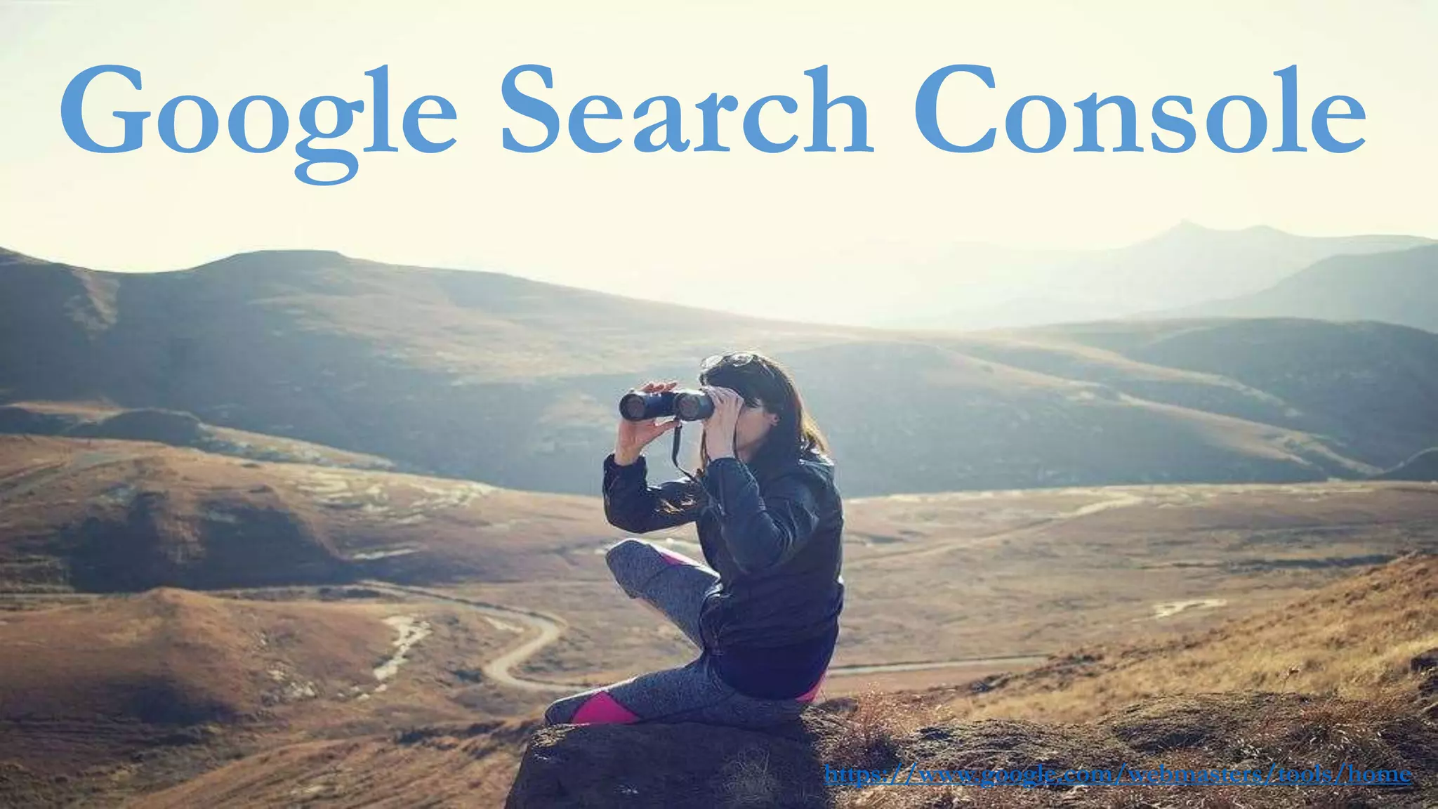 Google Search Console
https://www.google.com/webmasters/tools/home
 