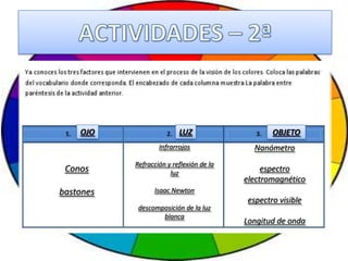 OJO                   LUZ                    OBJETO
                   Infrarrojos              Nanómetro
           Refracción y reflexión de la
 Conos                 luz
                                               espectro
                                          electromagnético
bastones         Isaac Newton
                                          espectro visible
            descomposición de la luz
                   blanca
                                          Longitud de onda
 