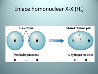 Enlace homonuclear X-X (H 2 ) 