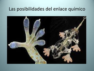 Las posibilidades del enlace químico 
