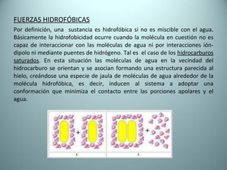 FUERZAS HIDROFÓBICAS Por definición, una  sustancia es hidrofóbica si no es miscible con el agua. Básicamente la hidrofobicidad ocurre cuando la molécula en cuestión no es capaz de interaccionar con las moléculas de agua ni por interacciones ión-dipolo ni mediante puentes de hidrógeno. Tal es  el caso de los  hidrocarburos   saturados . En esta situación las moléculas de agua en la vecindad del hidrocarburo se orientan y se asocian formando una estructura parecida al hielo, creándose una especie de jaula de moléculas de agua alrededor de la molécula hidrofóbica, es decir, inducen al sistema a adoptar una conformación que minimiza el contacto entre las porciones apolares y el agua. 