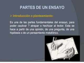 Estructura del ensayo
 