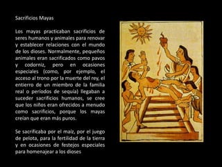 Sacrificios Mayas
Los mayas practicaban sacrificios de
seres humanos y animales para renovar
y establecer relaciones con el mundo
de los dioses. Normalmente, pequeños
animales eran sacrificados como pavos
y codorniz, pero en ocasiones
especiales (como, por ejemplo, el
acceso al trono por la muerte del rey, el
entierro de un miembro de la familia
real o períodos de sequía) llegaban a
suceder sacrificios humanos, se cree
que los niños eran ofrecidos a menudo
como sacrificios, porque los mayas
creían que eran más puros.
Se sacrificaba por el maíz, por el juego
de pelota, para la fertilidad de la tierra
y en ocasiones de festejos especiales
para homenajear a los dioses
 