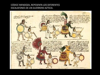 CÓDICE MENDOZA, REPESENTA LOS DIFERENTES
ESCALAFONES DE UN GUERRERO AZTECA.
 