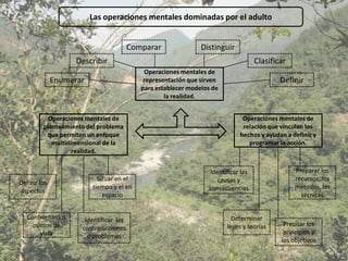 Las operaciones mentales dominadas por el adulto


                                        Comparar               Distinguir
                    Describir                                                      Clasificar
                                            Operaciones mentales de
              Enumerar                      representación que sirven                      Definir
                                           para establecer modelos de
                                                   la realidad.


           Operaciones mentales de                                           Operaciones mentales de
         planteamiento del problema                                          relación que vinculan los
          que permiten un enfoque                                           hechos y ayudan a definir y
            multidimensional de la                                             programar la acción.
                   realidad.


                                                                 Identificar las                Preparar los
                           Situar en el                             causas y                    recursos, los
Definir los
                         tiempo y el en                          consecuencias                  métodos, las
aspectos
                             espacio                                                              técnicas


   Confrontar los     Identificar las                                     Determinar
     puntos de                                                          leyes y teorías     Precisar los
                     contradicciones
       vista                                                                                principios y
                       o problemas
                                                                                           los objetivos
 