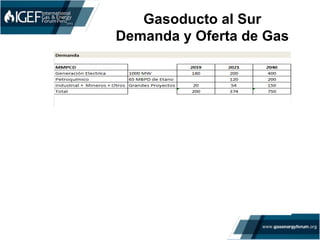 Gasoducto al Sur
Demanda y Oferta de Gas	
  
 