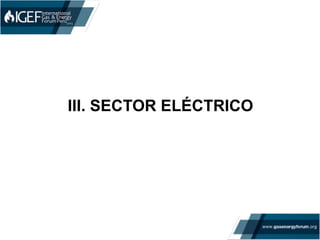 III. SECTOR ELÉCTRICO
 