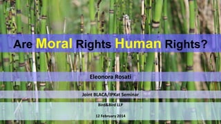 Are Moral Rights Human Rights?
Eleonora Rosati
Joint BLACA/IPKat Seminar
Bird&Bird LLP
12 February 2014

 