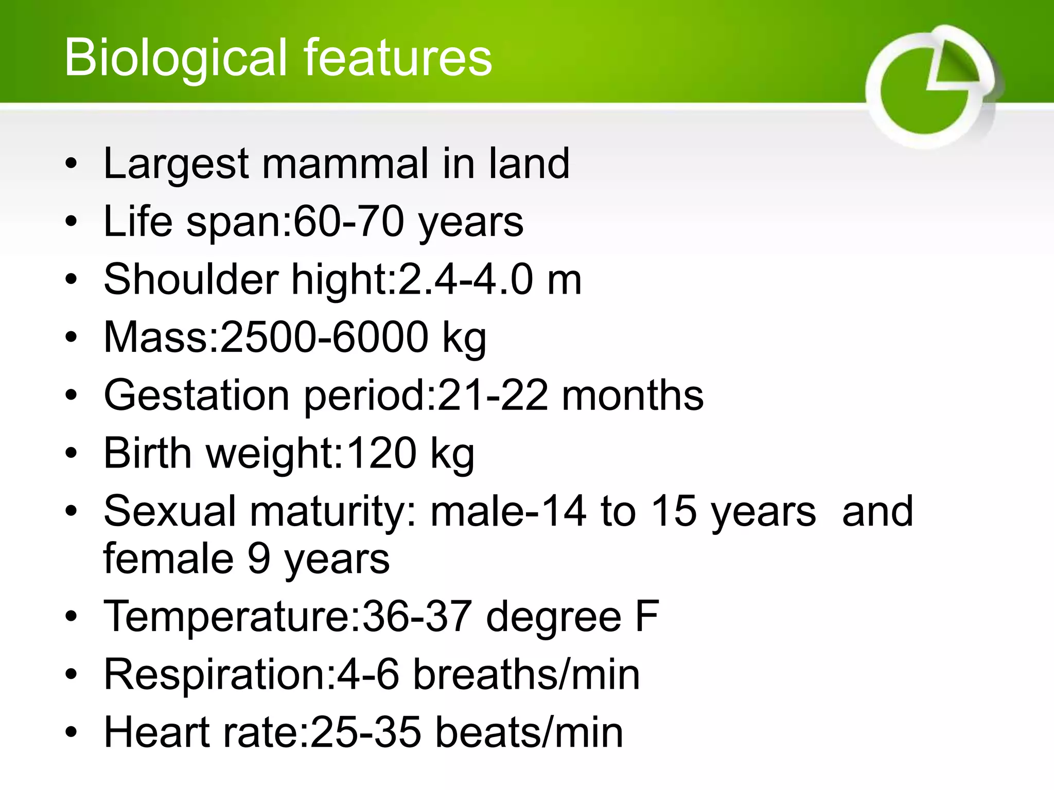 Biological features
• Largest mammal in land
• Life span:60-70 years
• Shoulder hight:2.4-4.0 m
• Mass:2500-6000 kg
• Gestation period:21-22 months
• Birth weight:120 kg
• Sexual maturity: male-14 to 15 years and
female 9 years
• Temperature:36-37 degree F
• Respiration:4-6 breaths/min
• Heart rate:25-35 beats/min
 