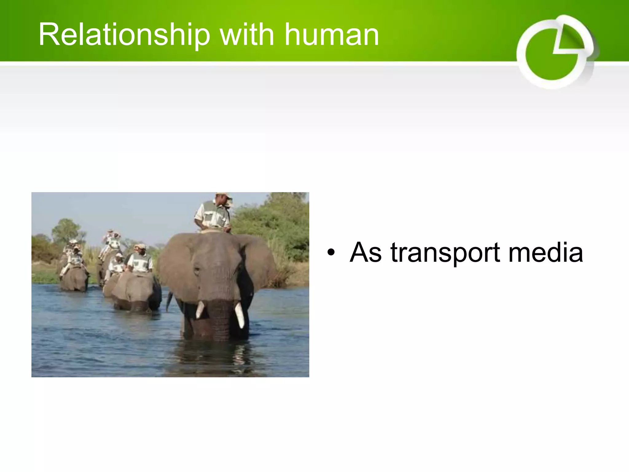 Relationship with human
• As transport media
 