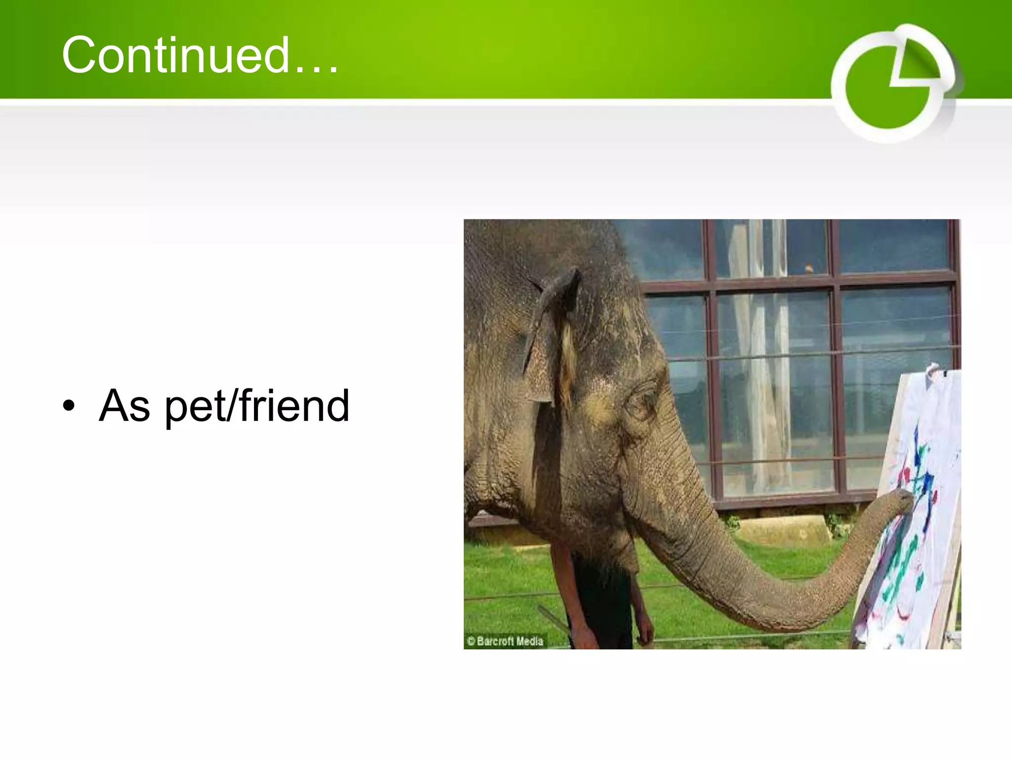 Continued…
• As pet/friend
 