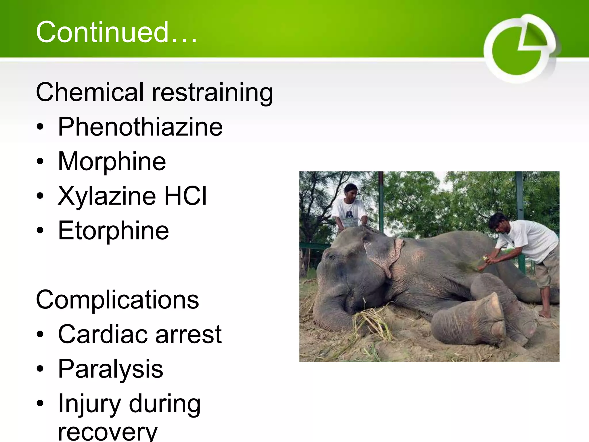 Continued…
Chemical restraining
• Phenothiazine
• Morphine
• Xylazine HCl
• Etorphine
Complications
• Cardiac arrest
• Paralysis
• Injury during
recovery
 