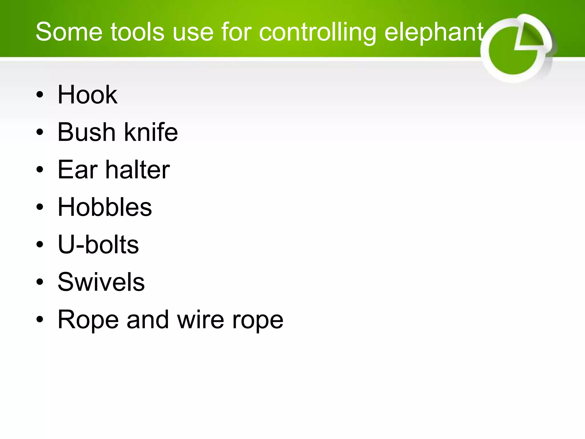 Some tools use for controlling elephant
• Hook
• Bush knife
• Ear halter
• Hobbles
• U-bolts
• Swivels
• Rope and wire rope
 
