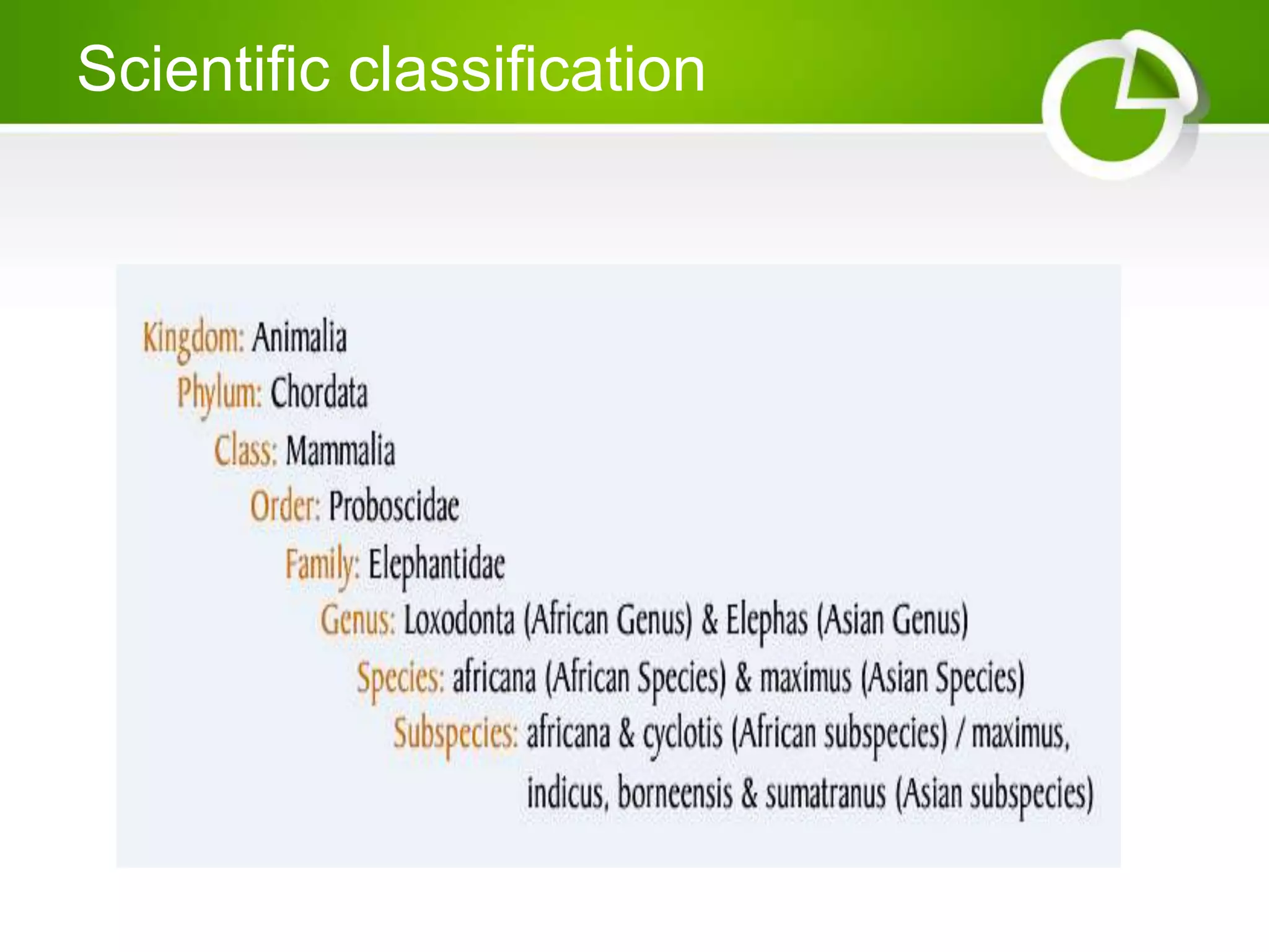 Scientific classification
 