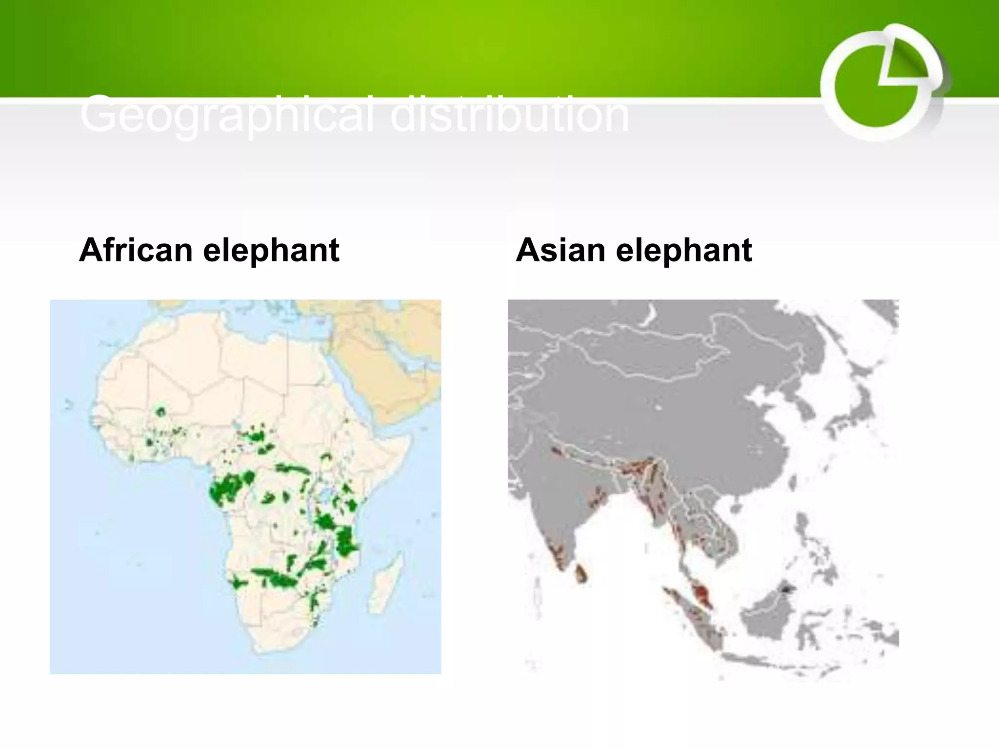 Geographical distribution
African elephant Asian elephant
 