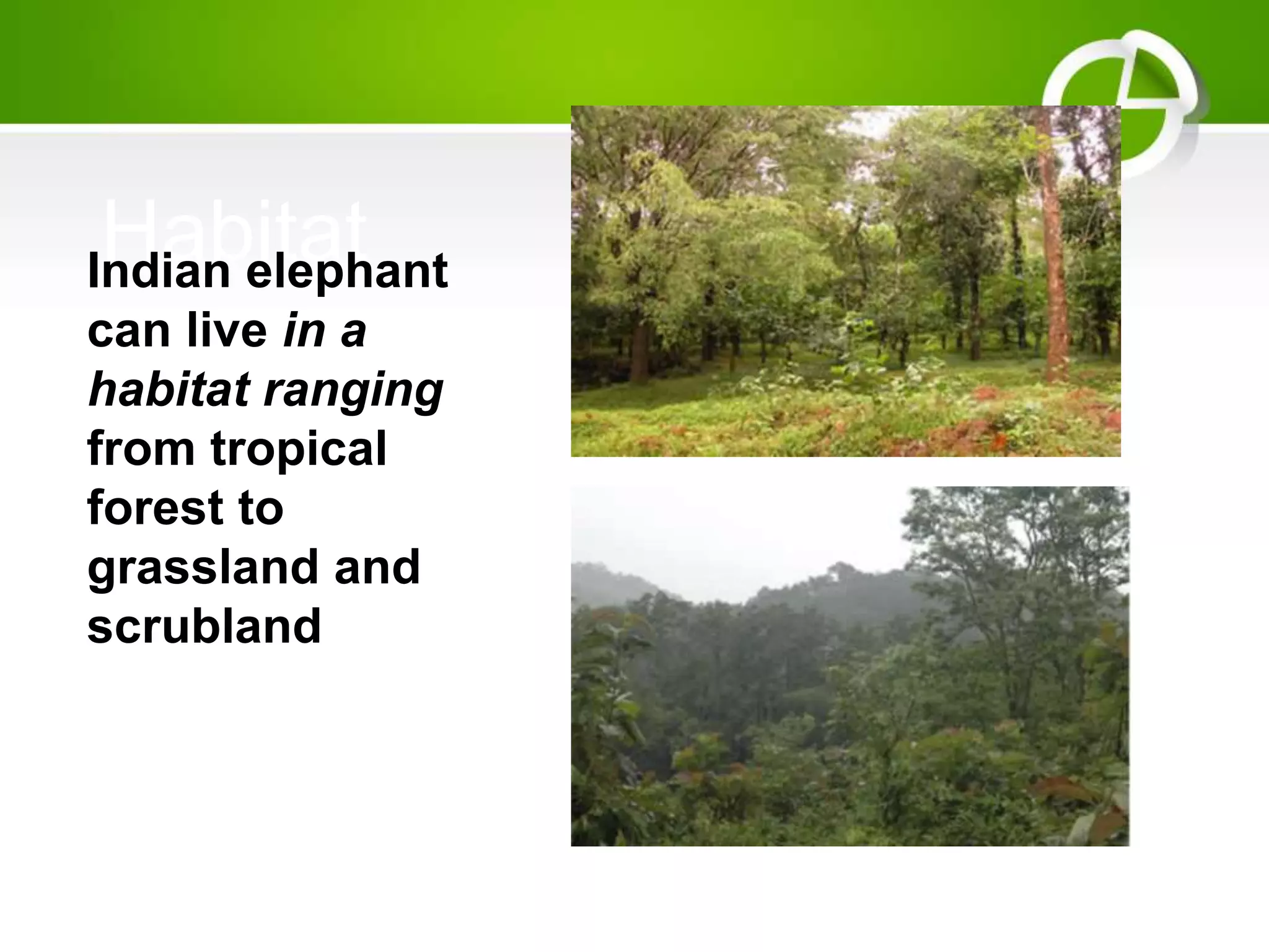 HabitatIndian elephant
can live in a
habitat ranging
from tropical
forest to
grassland and
scrubland
 