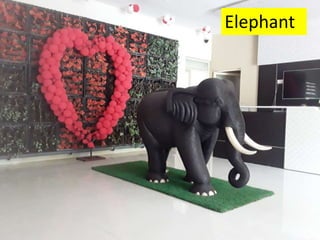 Elephant Elephant
 