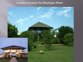 Luxury Lifestyle Eco Boutique Hotel

 