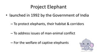 Elephant day | PPTX