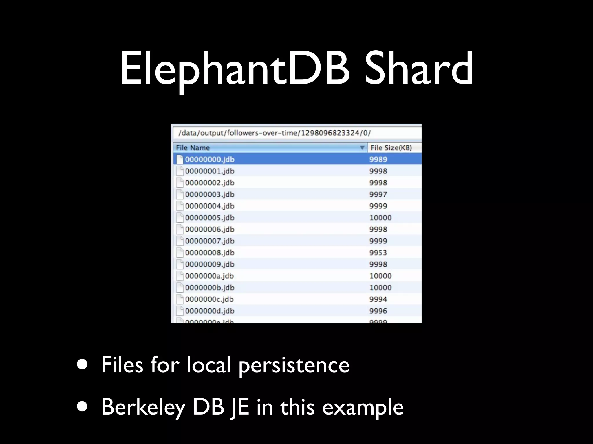 ElephantDB Shard




• Files for local persistence
• Berkeley DB JE in this example
 