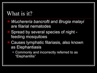 What is it?
Wuchereria bancrofti and Brugia malayi
are filarial nematodes
Spread by several species of night -
feeding mosquitoes
Causes lymphatic filariasis, also known
as Elephantiasis
Commonly and incorrectly referred to as
“Elephantitis”