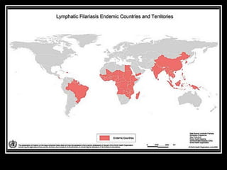 Geographic Range
Lymphatic filariasis occurs in the tropics of
India, Africa, Southern Asia, the Pacific,
and Central and South America.