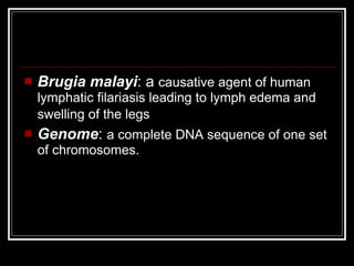  Brugia malayi: a causative agent of human
lymphatic filariasis leading to lymph edema and
swelling of the legs
Genome: a complete DNA sequence of one set
of chromosomes.