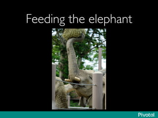 Feeding the elephant	

 