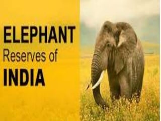 ELEPHANT RESERVES
IN INDIA
 